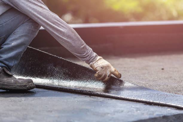Professional Wet Basement Repair technician working in Luna Pier, MI